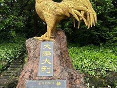 -海口火山口国家地质公园