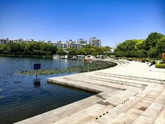 -新江湾城公园