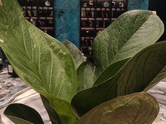 -铂尔登国际酒店(南山深圳湾口岸店)