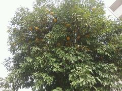 android_upload_pic-江苏省惠山中等专业学校