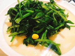 银杏豌豆尖-眉州东坡(博雅店)