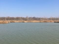 -盐城丹顶鹤湿地生态旅游区