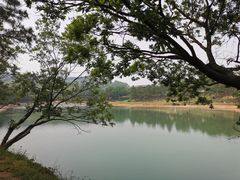 -南京市无想山景区