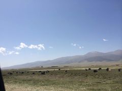 -青海湖国家重点风景名胜区