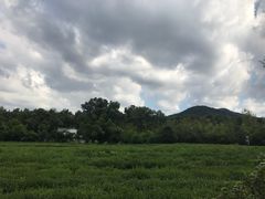-哥老官重庆美蛙鱼头(西湖银泰十一哥店)