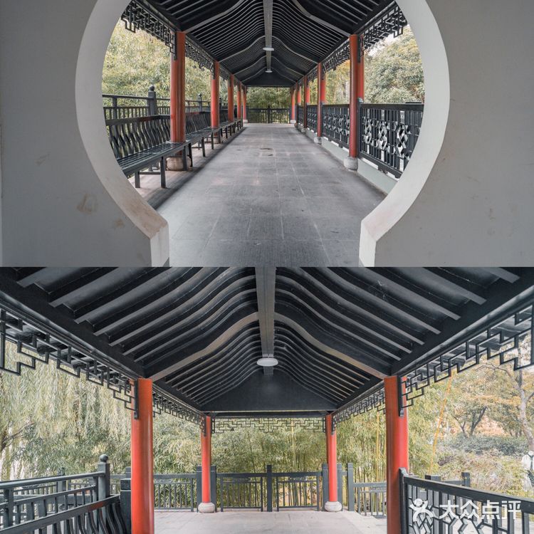 长沙必打卡景点｜橘子洲真的🈶橘子么⁉️