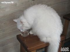 -赵小姐的店(鼓浪屿三友店)