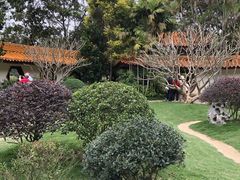 -深圳仙湖植物园