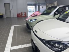 -上海浦东smart汽车全功能店(金桥店)