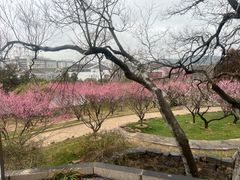 -无锡梅园公园
