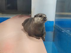 -大连圣亚海洋世界