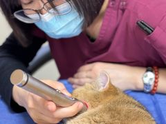 -美联众合动物医院·24h京西诊疗中心
