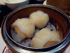 -糖朝(尖沙咀店)