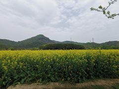 -八卦田遗址公园