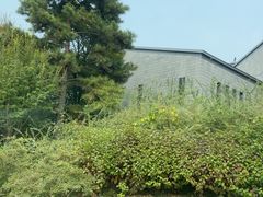 -北京雁栖湖国际会展中心