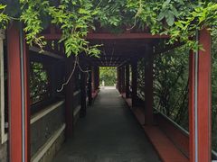 -北坞公园