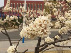 -哈尔滨工业大学(威海校区)