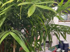 -永安里地摊烤肉(首创店)