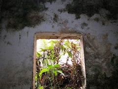 -渔桥李记奶汤面(东街店)