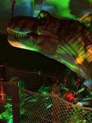 点击看大图 -恐龙探索乐园(磁器口店)