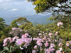 -梧桐山风景名胜区
