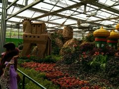 -兰陵国家农业公园