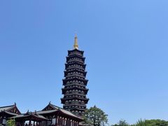 -花卉鱼庄(嘉园文景苑店)