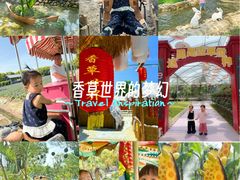 -广东花都香草世界旅游度假区