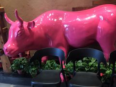 -小放牛炒菜馆(军校店)