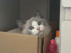 -新泰和人家(金澄天地花园店)