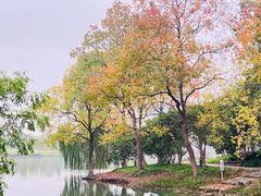 -白塘生态植物园