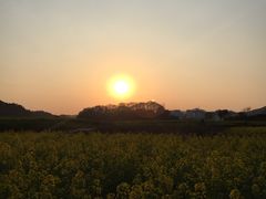 -婺源月亮湾
