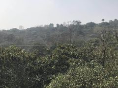-雨花胜境