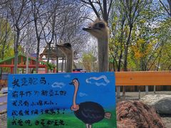 -水上乐园·欢乐世界
