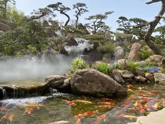 -罗红摄影艺术馆