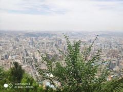 -兰山公园