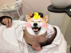 -上海首尔丽格医疗美容医院