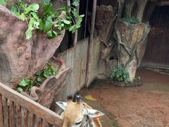 -长鹿旅游休博园