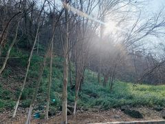 -南京市江宁方山