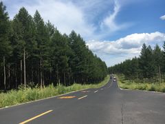 -塞罕坝国家级自然保护区