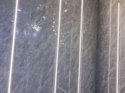 -Tipo Hair salon（明星）店