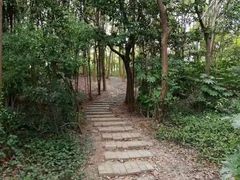 -新江湾城公园