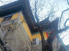 -千佛山风景名胜区
