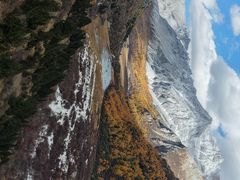 -稻城亚丁景区-冲古草甸