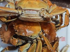 -海坛特色小吃·只做平潭特色菜(平潭店)