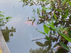 -水濂山森林公园