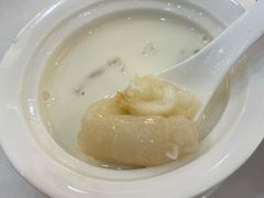 花胶蒸水牛奶-东江渔村·古典园林·30年粤菜老字号(太和店)