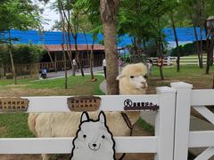 -云栖山谷野奢营地