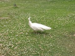 -昆明动物园