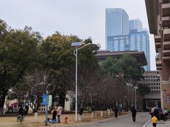 -长沙市青少年宫